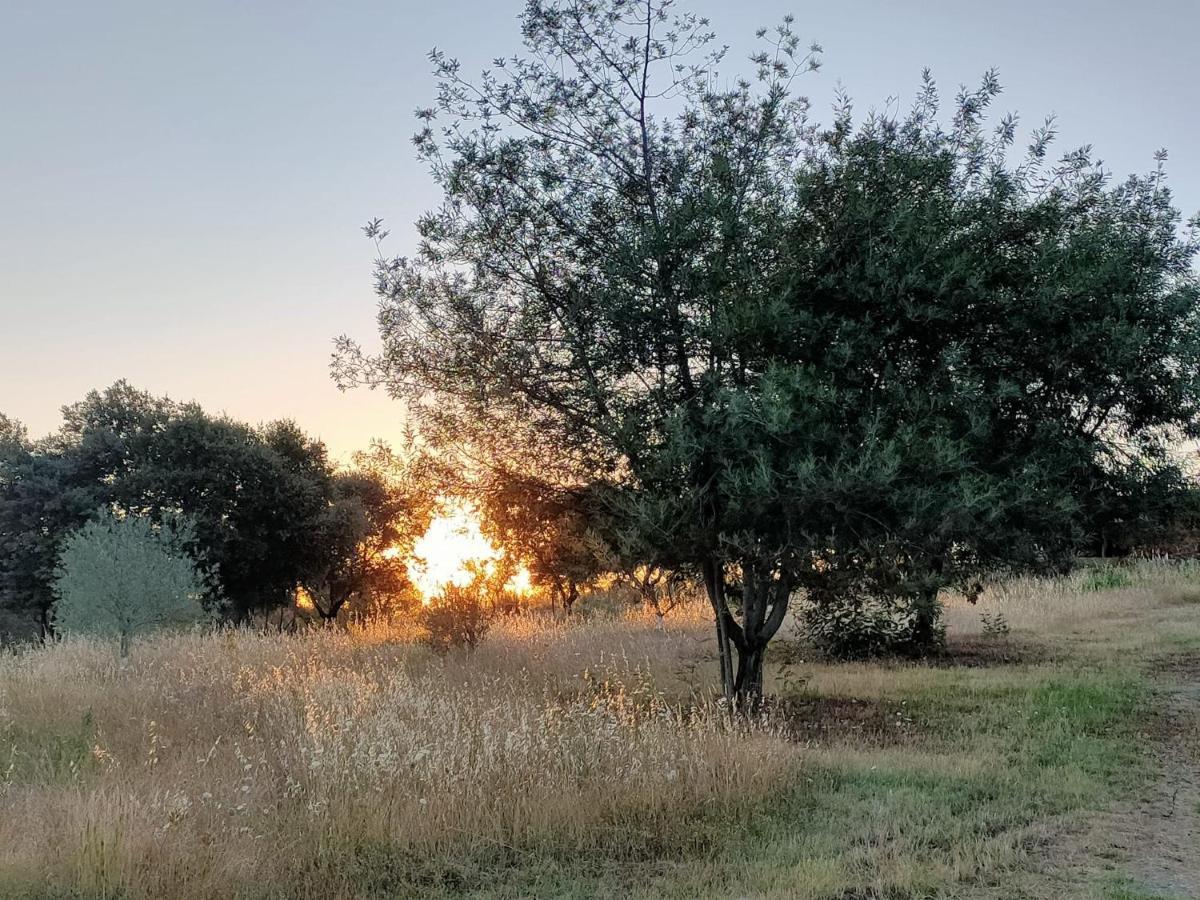 Casa Rural Camino Del Alentejo Villa La Codosera Luaran gambar