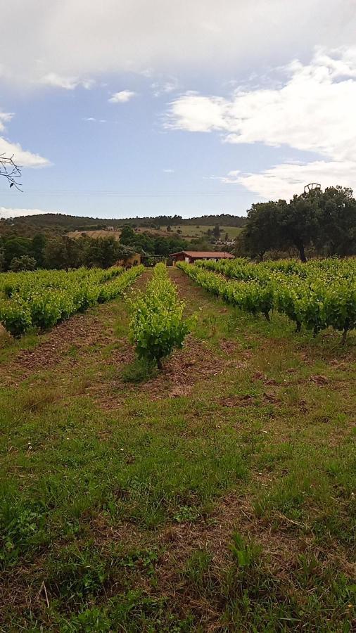 Casa Rural Camino Del Alentejo Villa La Codosera Luaran gambar