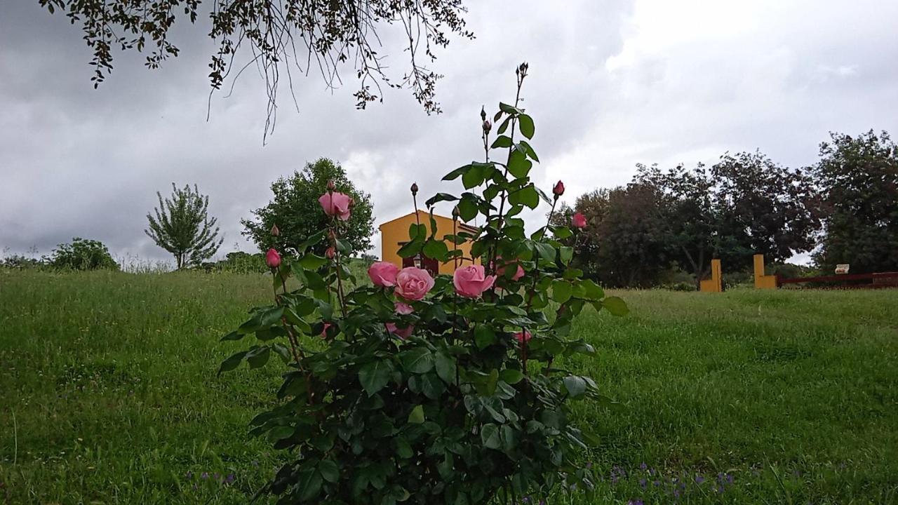 Casa Rural Camino Del Alentejo Villa La Codosera Luaran gambar