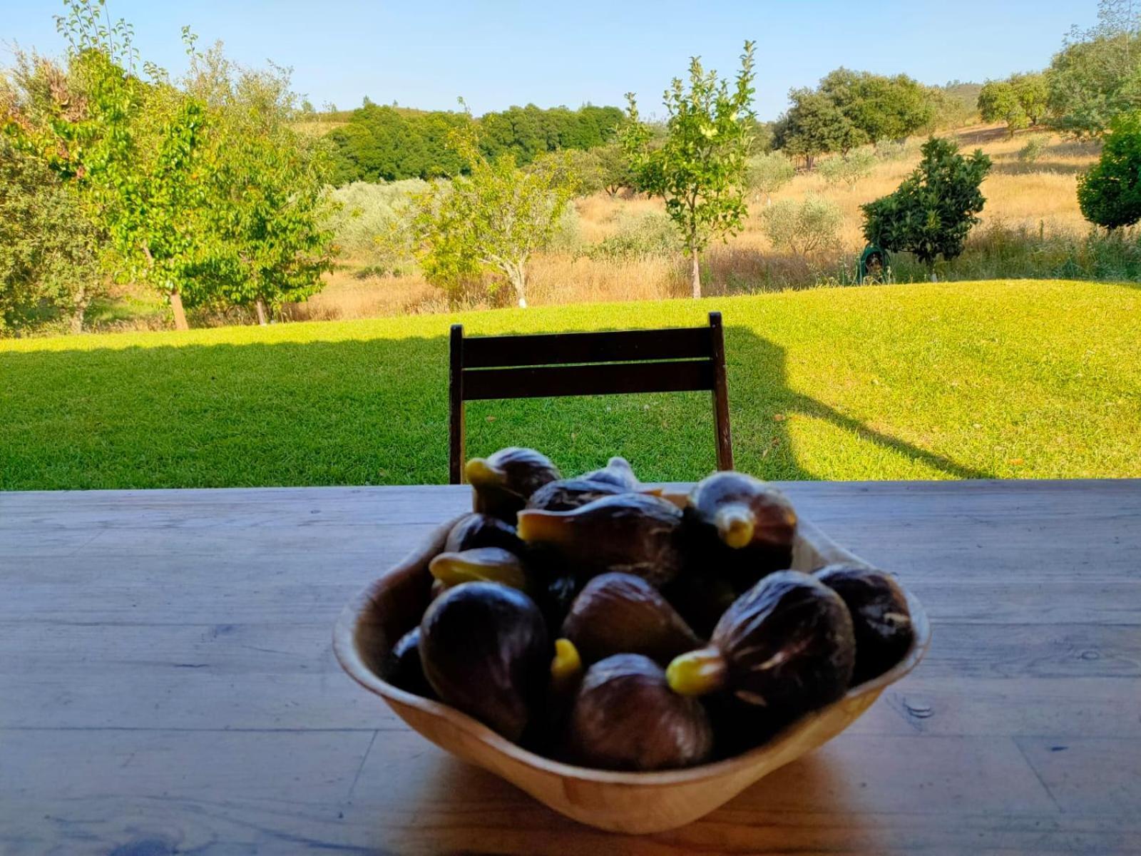 Casa Rural Camino Del Alentejo Villa La Codosera Bilik gambar